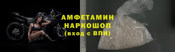 PSILOCYBIN Алзамай