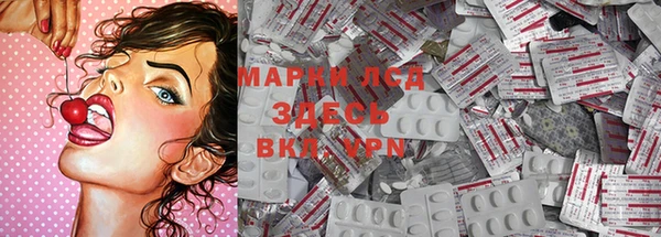 PSILOCYBIN Алзамай