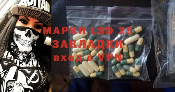 PSILOCYBIN Алзамай