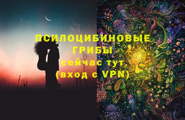 PSILOCYBIN Алзамай