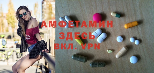 PSILOCYBIN Алзамай