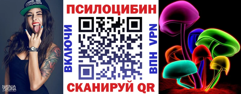 даркнет сайт Волгоград Псилоцибиновые грибы Psilocybe