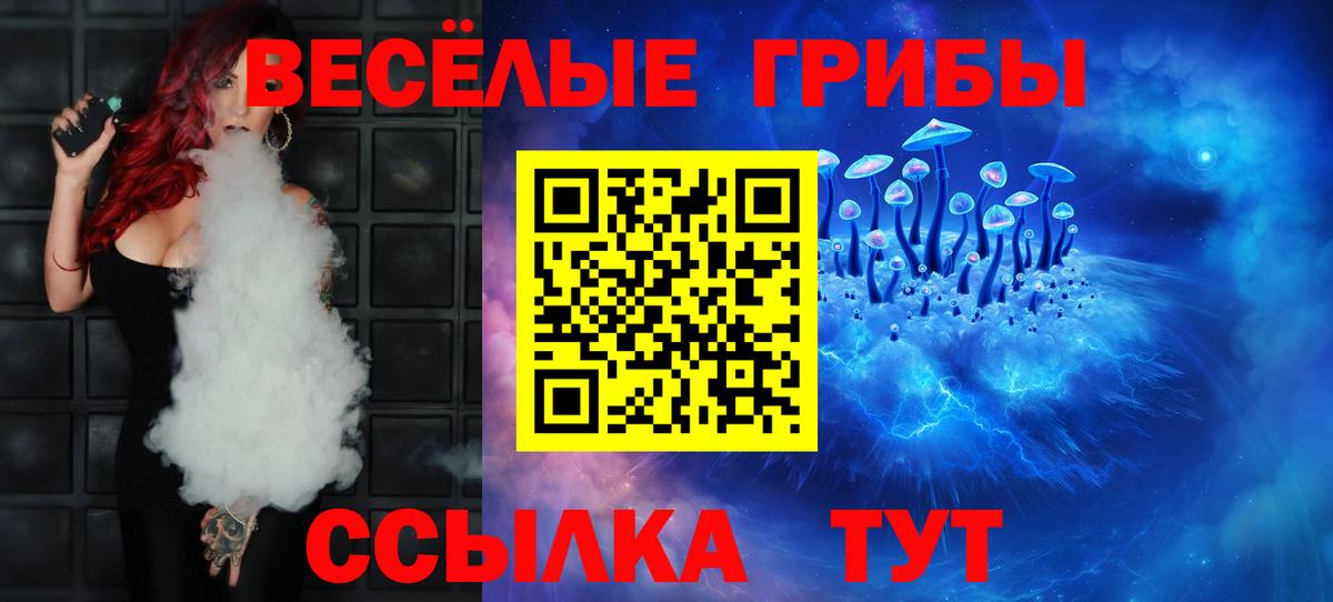 Псилоцибиновые грибы Psilocybe Волгоград